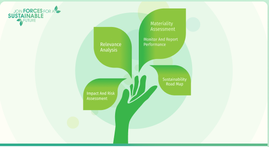 Sustanaibility Strategy Development Sustanaibility Strategy Development